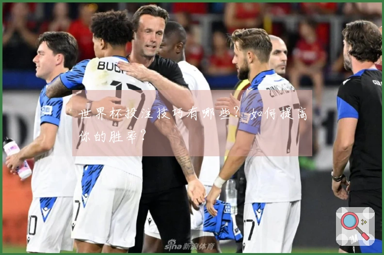 世界杯投注技巧有哪些？如何提高你的胜率？