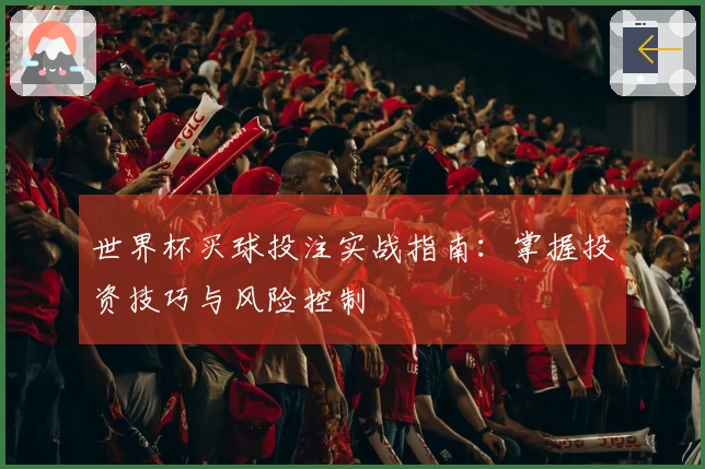 世界杯买球投注实战指南：掌握投资技巧与风险控制