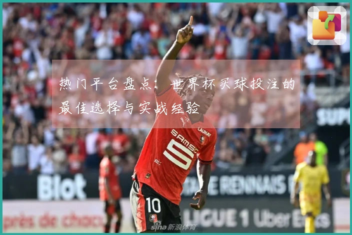 热门平台盘点：世界杯买球投注的最佳选择与实战经验