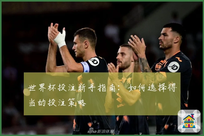 世界杯投注新手指南：如何选择得当的投注策略