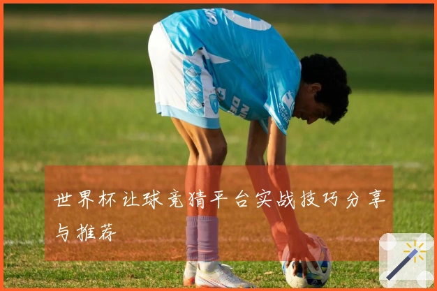 世界杯让球竞猜平台实战技巧分享与推荐