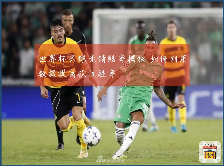 世界杯买球竞猜赔率揭秘 如何利用数据提高投注胜率