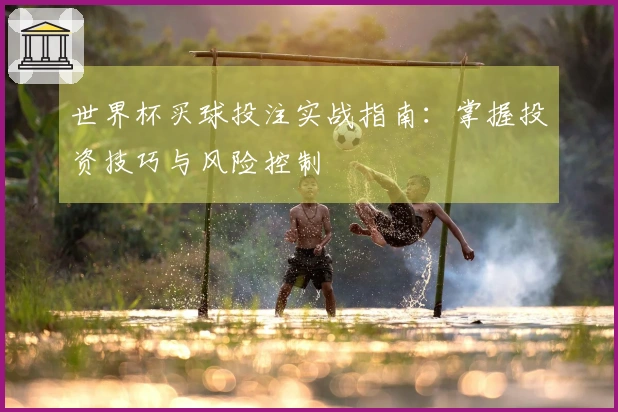 世界杯买球投注实战指南：掌握投资技巧与风险控制
