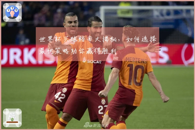 世界杯买球赔率大揭秘，如何选择最优策略助你赢得胜利