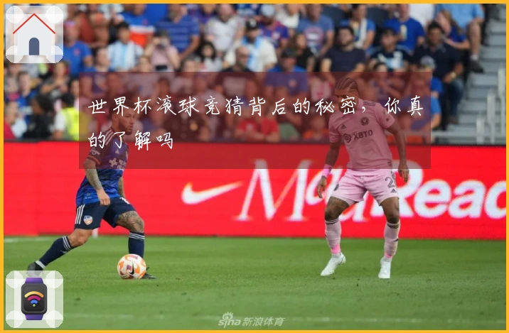 世界杯滚球竞猜背后的秘密，你真的了解吗