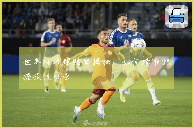 世界杯滚球赔率揭秘，如何精准把握投注机会