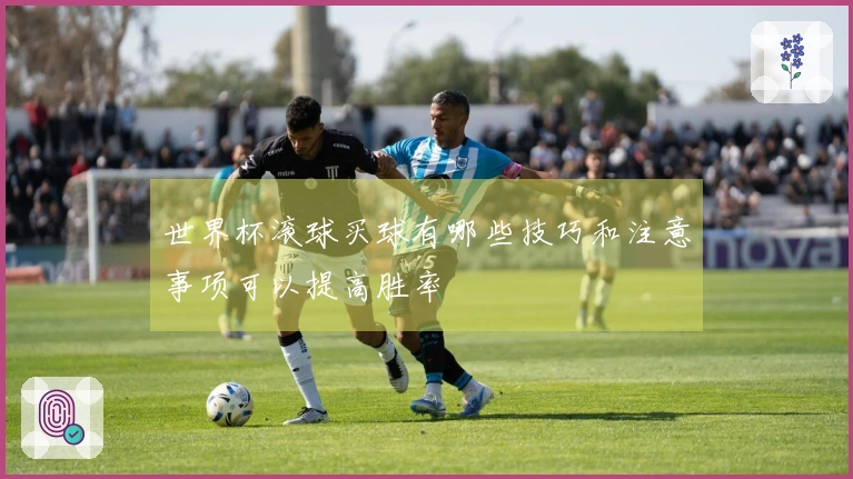世界杯滚球买球有哪些技巧和注意事项可以提高胜率