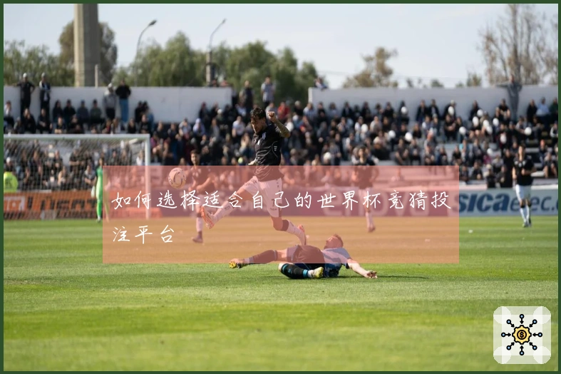 如何选择适合自己的世界杯竞猜投注平台