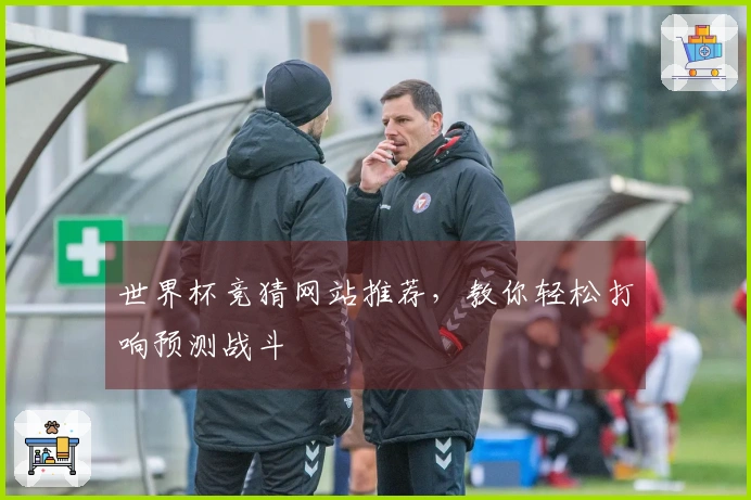 世界杯竞猜网站推荐，教你轻松打响预测战斗