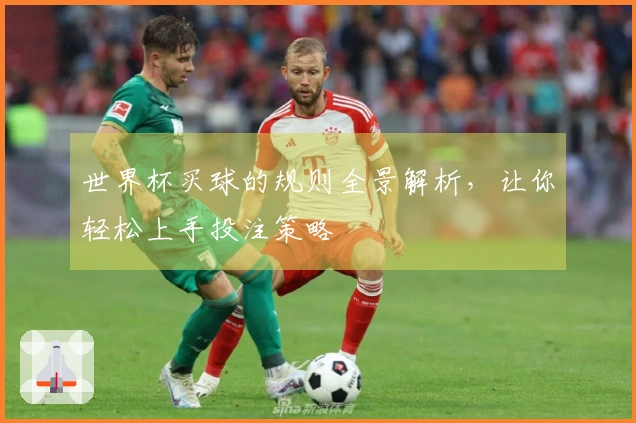 世界杯买球的规则全景解析，让你轻松上手投注策略