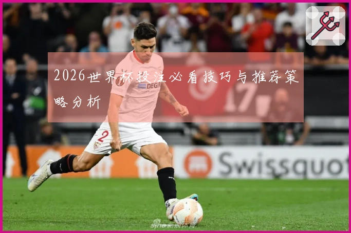 2026世界杯投注必看技巧与推荐策略分析