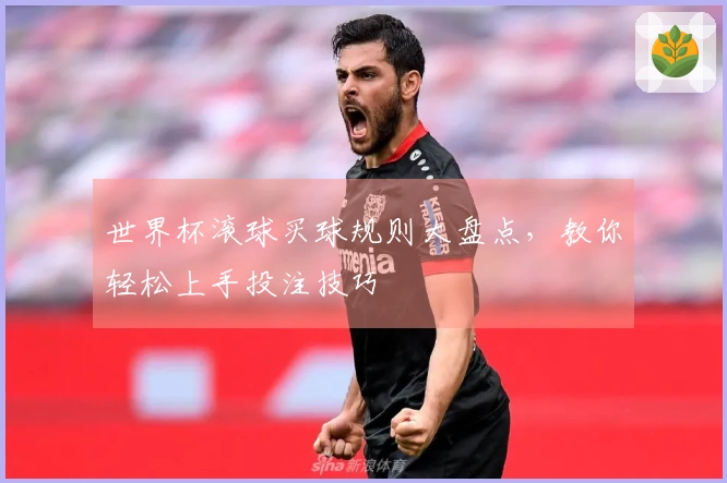 世界杯滚球买球规则大盘点，教你轻松上手投注技巧