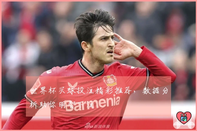 世界杯买球投注精彩推荐，数据分析助你明智下注