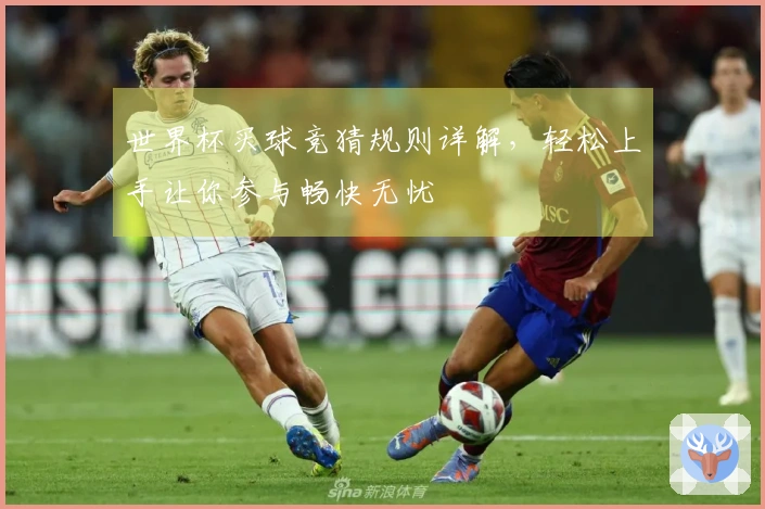 世界杯买球竞猜规则详解，轻松上手让你参与畅快无忧